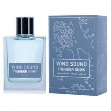 WIND SOUND THUNDER SNOW edt 100 ml men